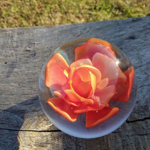 Pisapapeles de vidrio con flor de rosa prensada naranja - Imagen 4 de 11