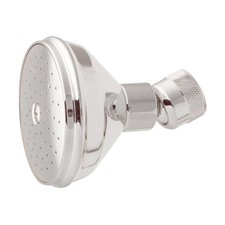 Shower Head Bright Chrome 2.75"D  Renovator's Supply