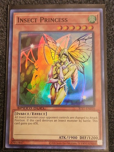 Insect Princess