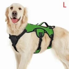 rabbitgoo Escape Proof Pet Dog Harness with Lift Handle Adjustable Vest Green L