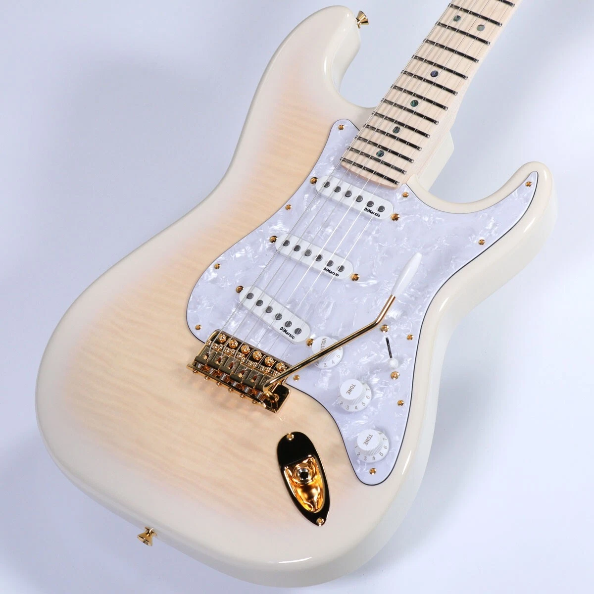 Fender Richie Kotzen Stratocaster TWS Fender Classic Series