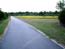 Photo 12x8 Tayfen meadow wild flowers Bury St Edmunds The open spaces are  c2010