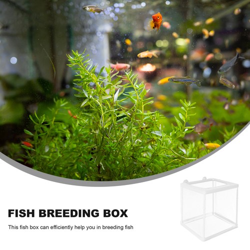 Caja de incubación aislante para pecera plástico cría bebé acuario - Imagen 10 de 12