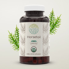 HerbEra Horsetail 60/120 Capsules, 500 mg, Organic Horsetail Equisetum arvense 