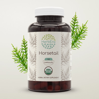 HerbEra Horsetail 60/120 Capsules, 500 mg, Organic Horsetail (Equisetum arvense)