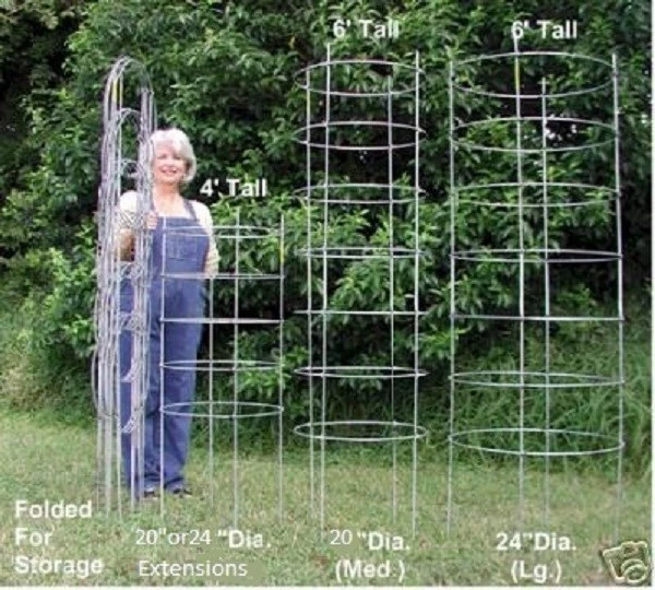 TEXAS TOMATO CAGE 6 Ft 24" Dia LG 6 Pk Cages for Plant Support Cages Gardening - Image 4 of 4