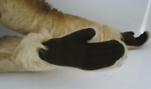 Rare Hard to Find Steiff 1960s Mohair Monkey Gibbon - Picture 10 of 11