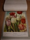Bild 16 von 24