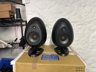 SE Munro Egg 150 Speakers and Amplifier