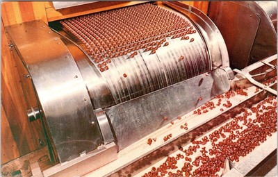 Hershey Pennsylvania Chocolate Town USA Kisses Confectionery Factory Postcard
