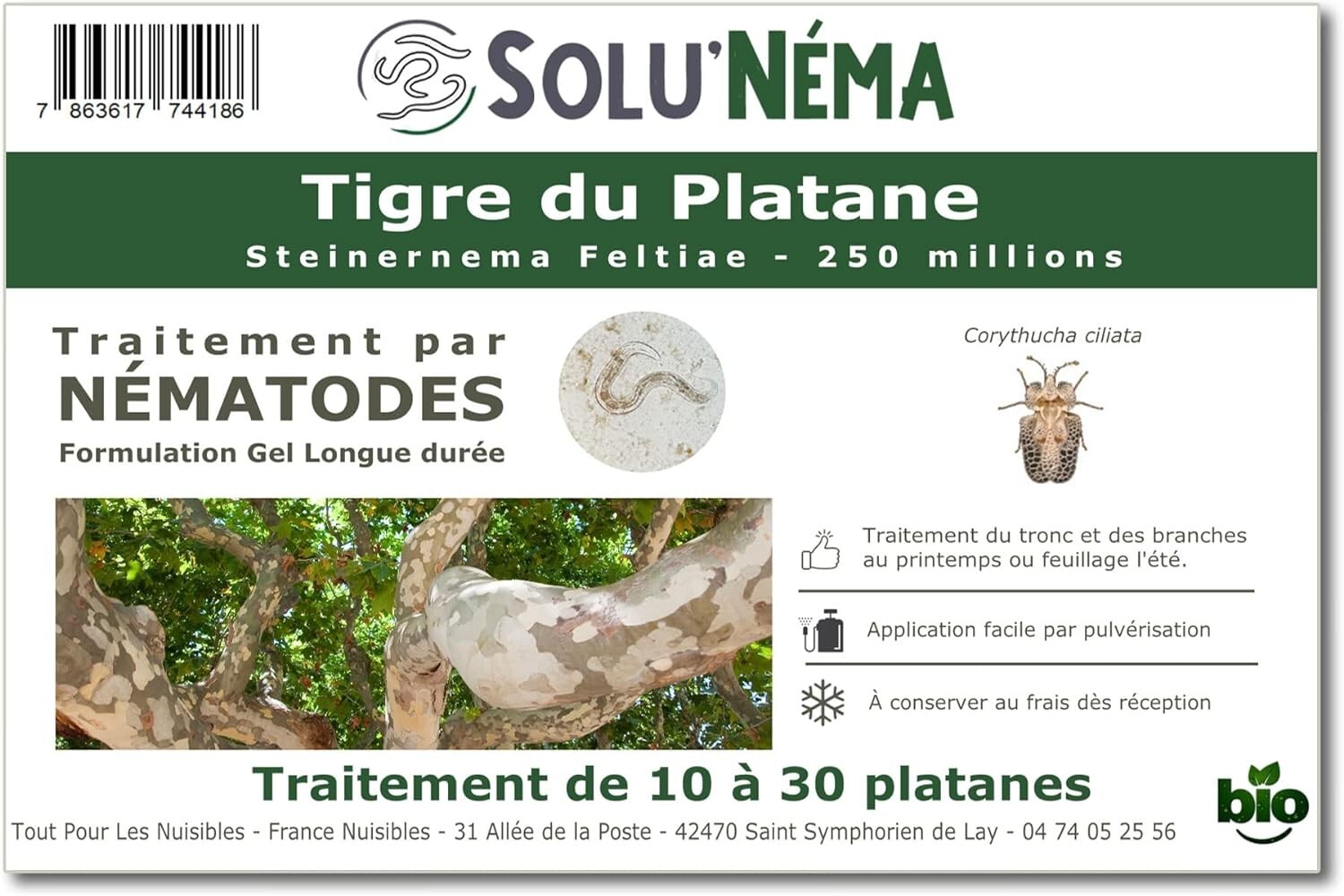 Nématodes tigre du platane SOLUNEMA 250M protègent vos arbres contre le jaunissement des feuilles