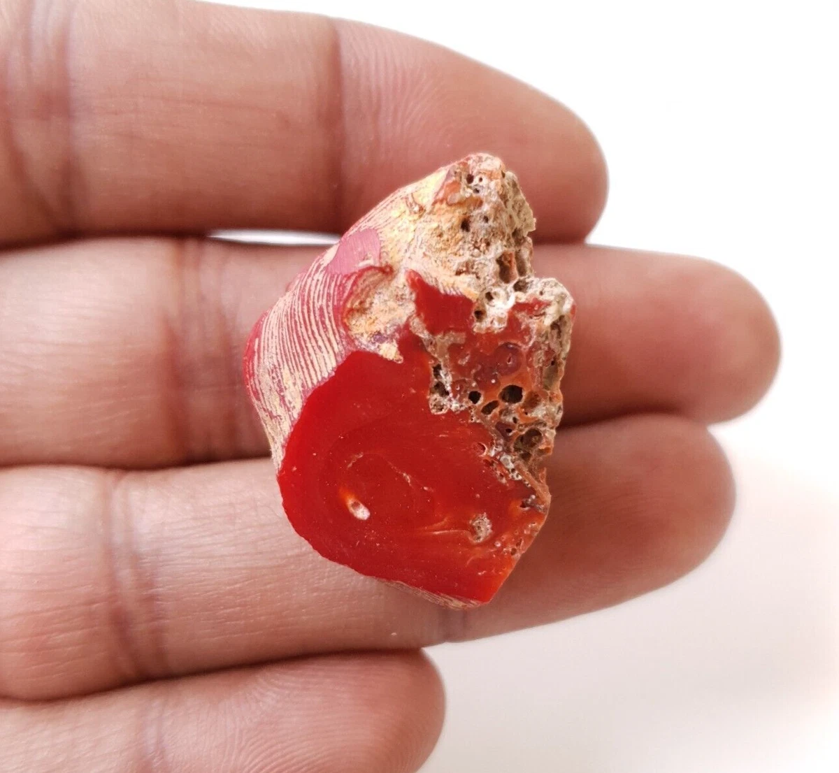 Untreated Mediterranean Red Coral Rough Undyed Natural Italy Coral Raw  Gemstone.