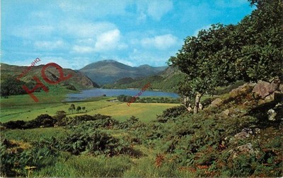 Ansichtskarte: Llyn Dinas und Moel Hebog [Lachs]
