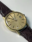 Omega Seamaster Cal.1010 166.0202 Automatic Movement Golden Dial