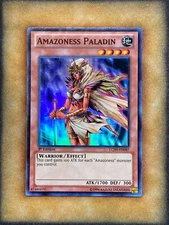 Yugioh Amazoness Paladin LCJW-EN087 Super Rare 1st Ed NM