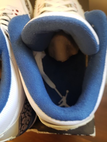 Air Jordan 3 Retro 2009 True Blue - Size 11 - 136064-141 - Picture 11 of 13