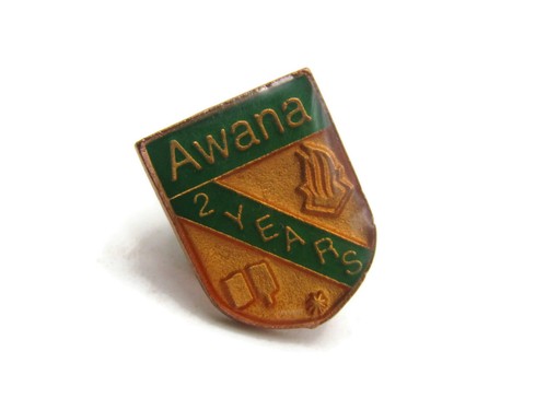 Awana 25 Years Pin Green & Gold Tone | eBay