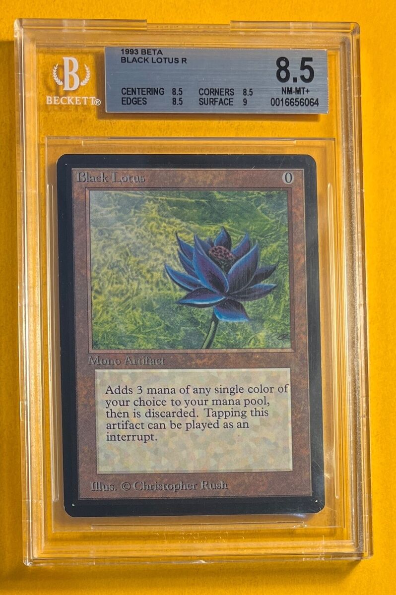 ○MTG○ β ベータ Plateau(英語 BGS 8.5) - 土地 - 土地 ○MTG○ β ベータ Plateau(英語 BGS 8.5) - 土地 - 土地