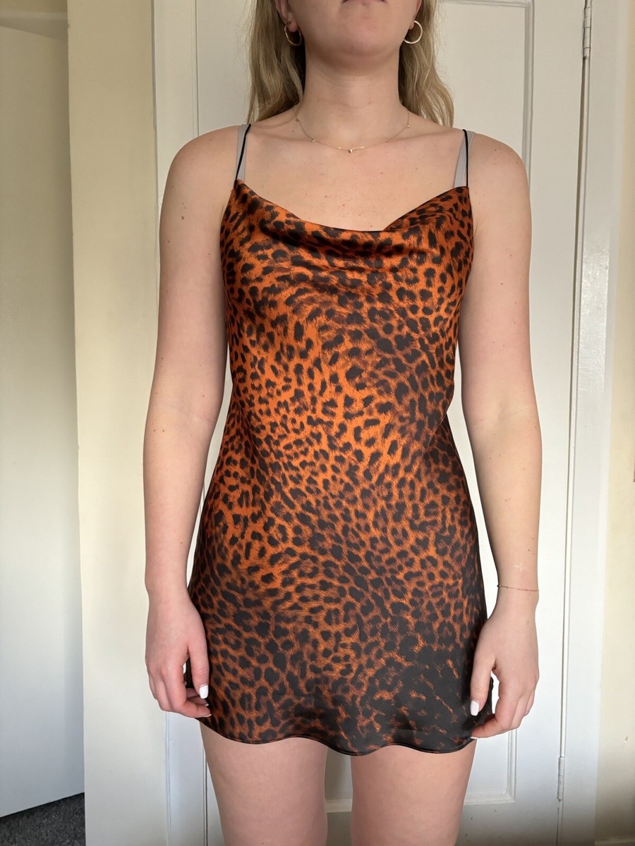 Slip Dress Orange Animal Print Dress Zara Orange Satin Leopard