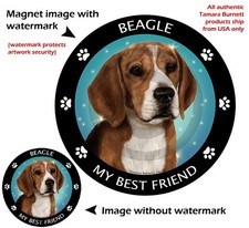 Beagle My Best Friend Dog Car Magnet