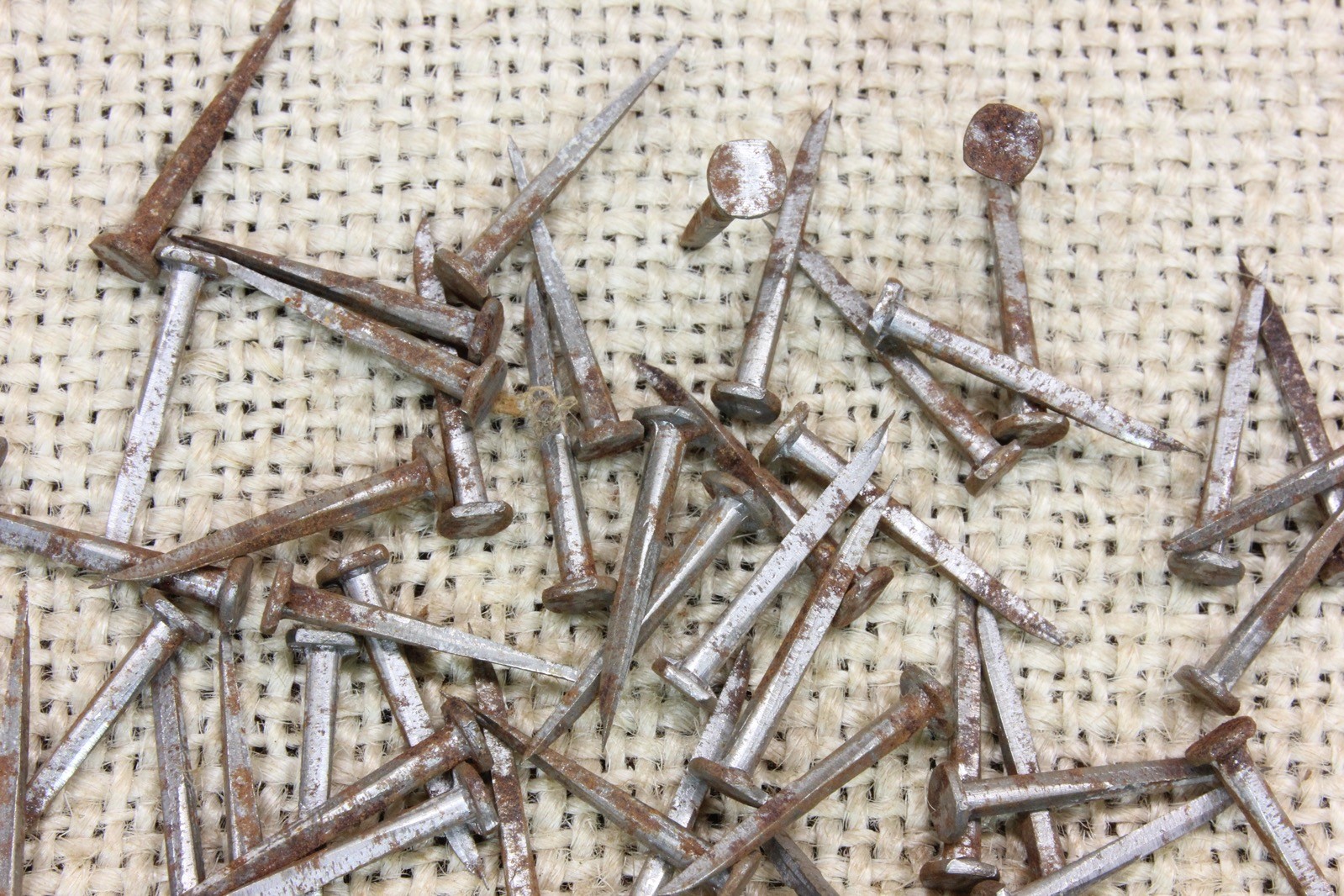 Old 3/4” Square Nails 5/32" Head 50 Qty Vintage Tacks 1880’s Iron Light Rust