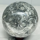 Natural Insectconch fossil crystal Ball Quartz Crystal Sphere Reiki Healing2420G — photo 10