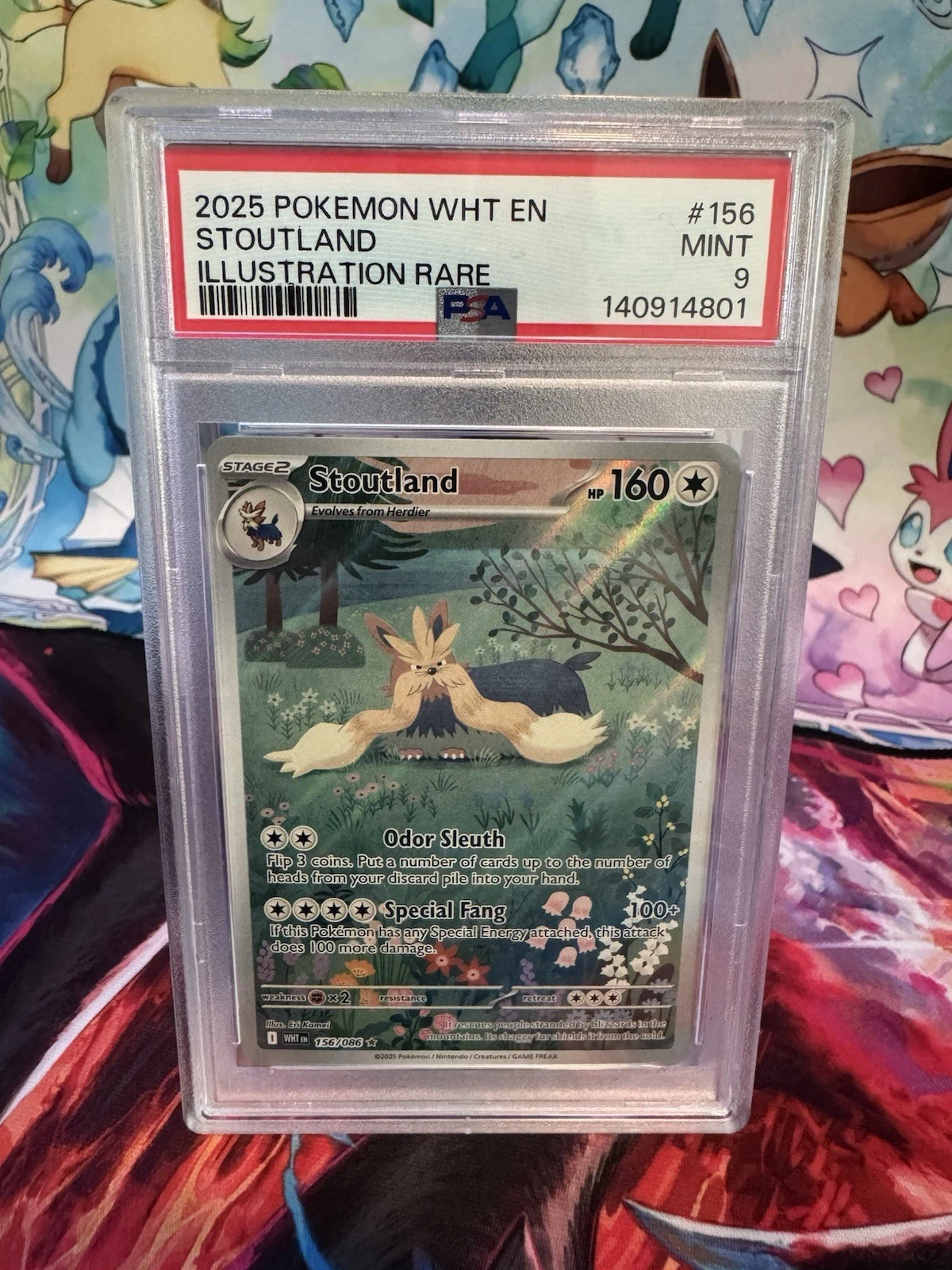 eBay