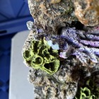 Coral Reef Resin Rock Artificial Aquarium Decor 12” X 10” X 9” — photo 4