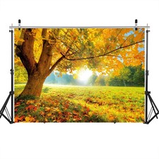 7x5FT Autumn Golden Maple Deciduous Photography Background Fall Photo Backdro
