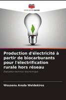 Wossenu Areda Weldekiros | Production D'éLectricité à Partir De Biocarburants...
