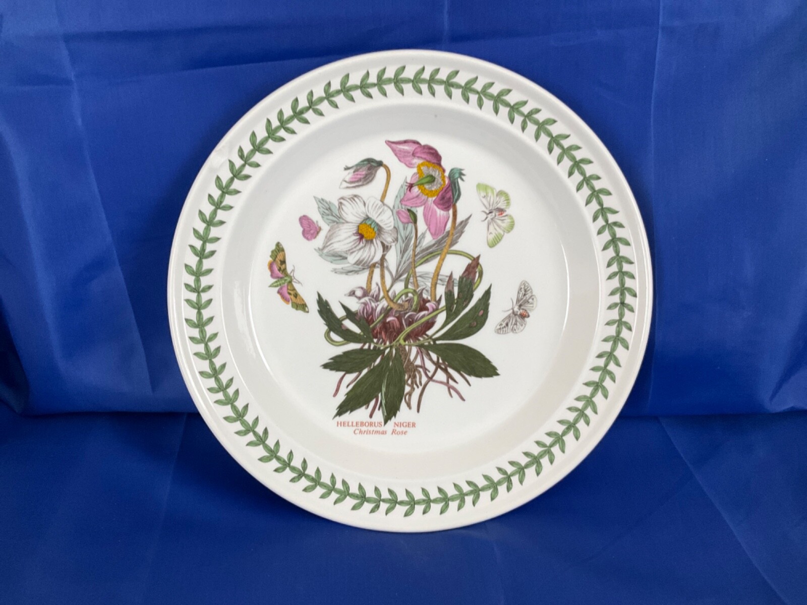 Portmeirion dinner plate Helleborus Niger (Christmas Rose) eBay