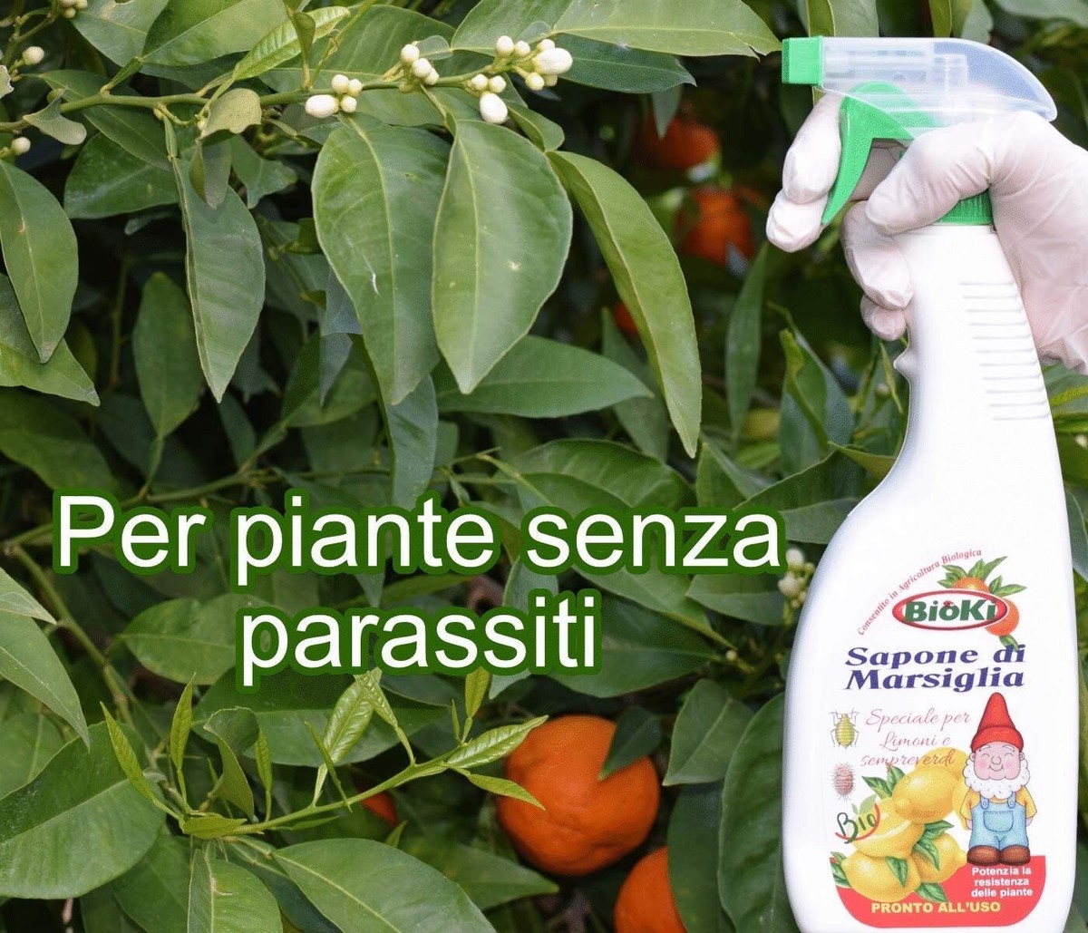 Bioki® sapone molle potassico - Pulisce la vegetazione con azione immediata ed efficace da insetti, melata e fumaggine - OFFERTA 2 confezioni a prezzo promozionale