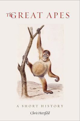 Picture 1