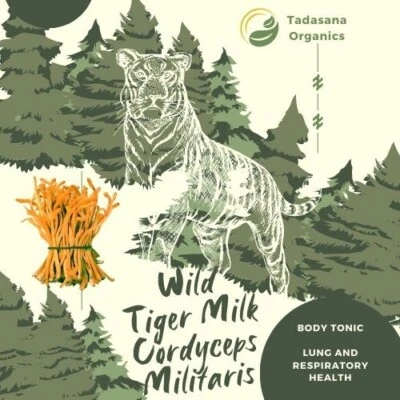 TADASANA ORGANICS Wild Tiger Milk Mushroom & Cordyceps Militaris 60 capsules