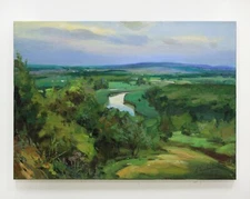 Plein air painting IMPRESSIONISM original Oil on canvas by A. Onipchenko