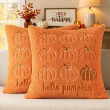 Orange Pumpkin Pillow Covers 18x18 for Decor - Set of 2