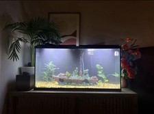75gal Aquarium Tank