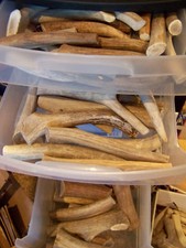 TWO LBS HARD ELK Antler Dog Chews Antler Dog Treats Deer Chews Organic CHOOSE SZ