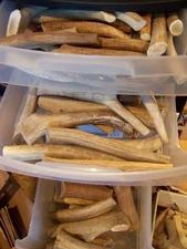 TWO LBS HARD ELK Antler Dog Chews Antler Dog Treats Deer Chews Organic CHOOSE SZ