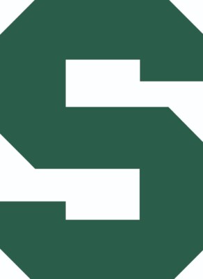 Michigan State Spartans Block S Vinyl Decal 2'', 3'', 4'', 5'', 6''  Green or White
