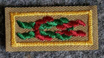 BSA Arrow of Light Award Square Knot - Scouting America - Mint - Current Issue