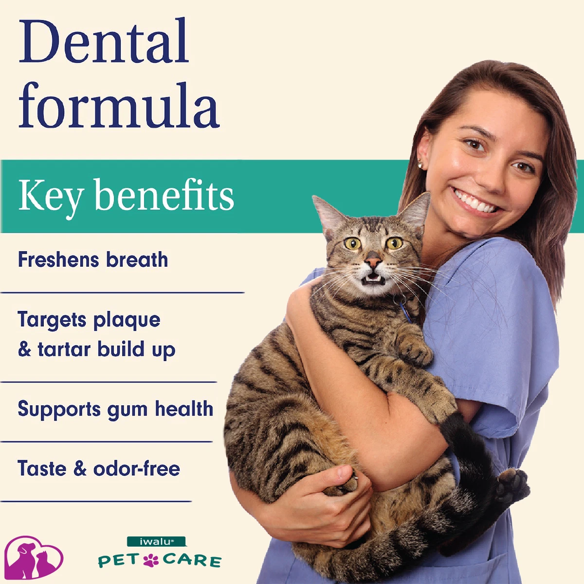 Cat bad breath home remedy cheap