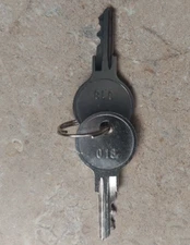 Custom America Round Head 018 Key Pair for APEX & APEX Pro Cash Drawer Registers