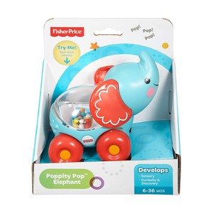 Игрушка mattel fisher-Price в виде жив.разв.арт.bgx29 #4 (887961166194)