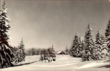 RPPC Cabana Trei Brazi Predeal Romania vintage postcard k274