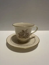 Lenox China Footed Cup And Saucer Medley Pattern