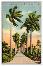 Avenue Of Palms Florida FL Linen  Postcard R33
