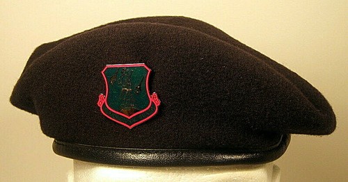 USAF Air Force Air National Guard 