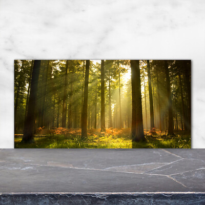 Küchenrückwand Spritzschutz aus Glas 120x60 Deko Landschaften Wald Sonne