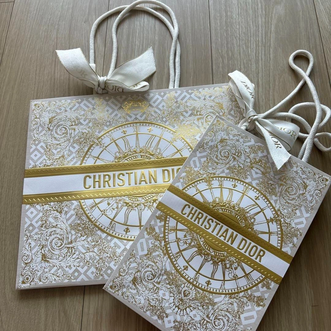 Lot de 2 sacs en papier Dior édition limitée 2024 vacances lot 2454